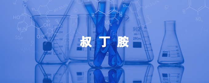 叔丁胺